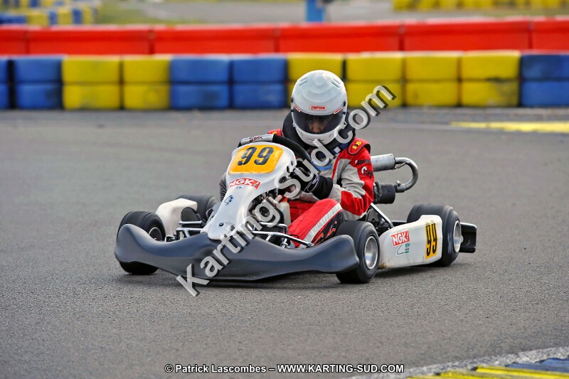 DSC_ (1389).jpg